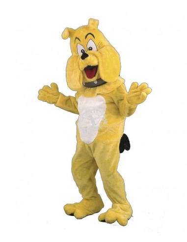 La mascota del dogo traje 8 (carácter publicitario)